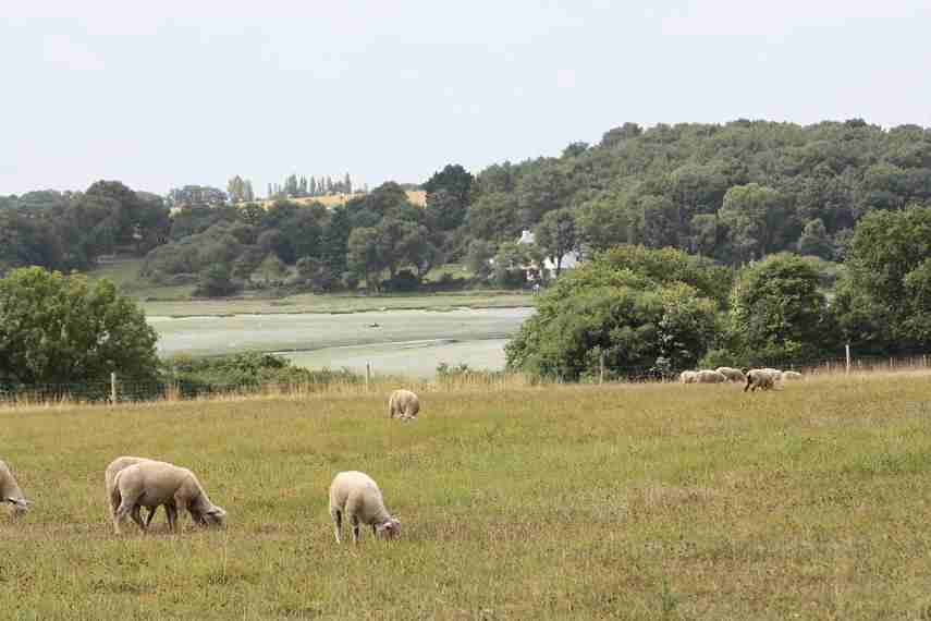 la campagne de Bernus Lacampagne e bernus