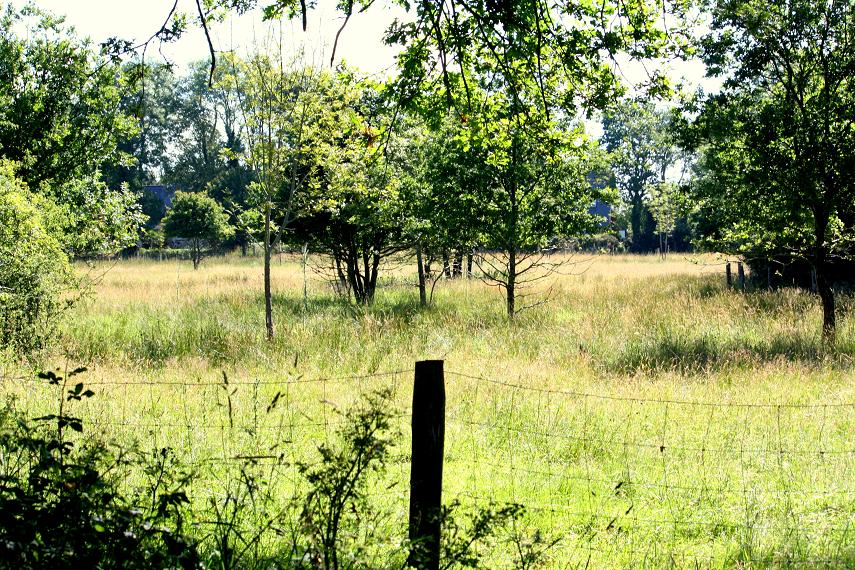 la campagne vers Conleau la campagne vers Conleau