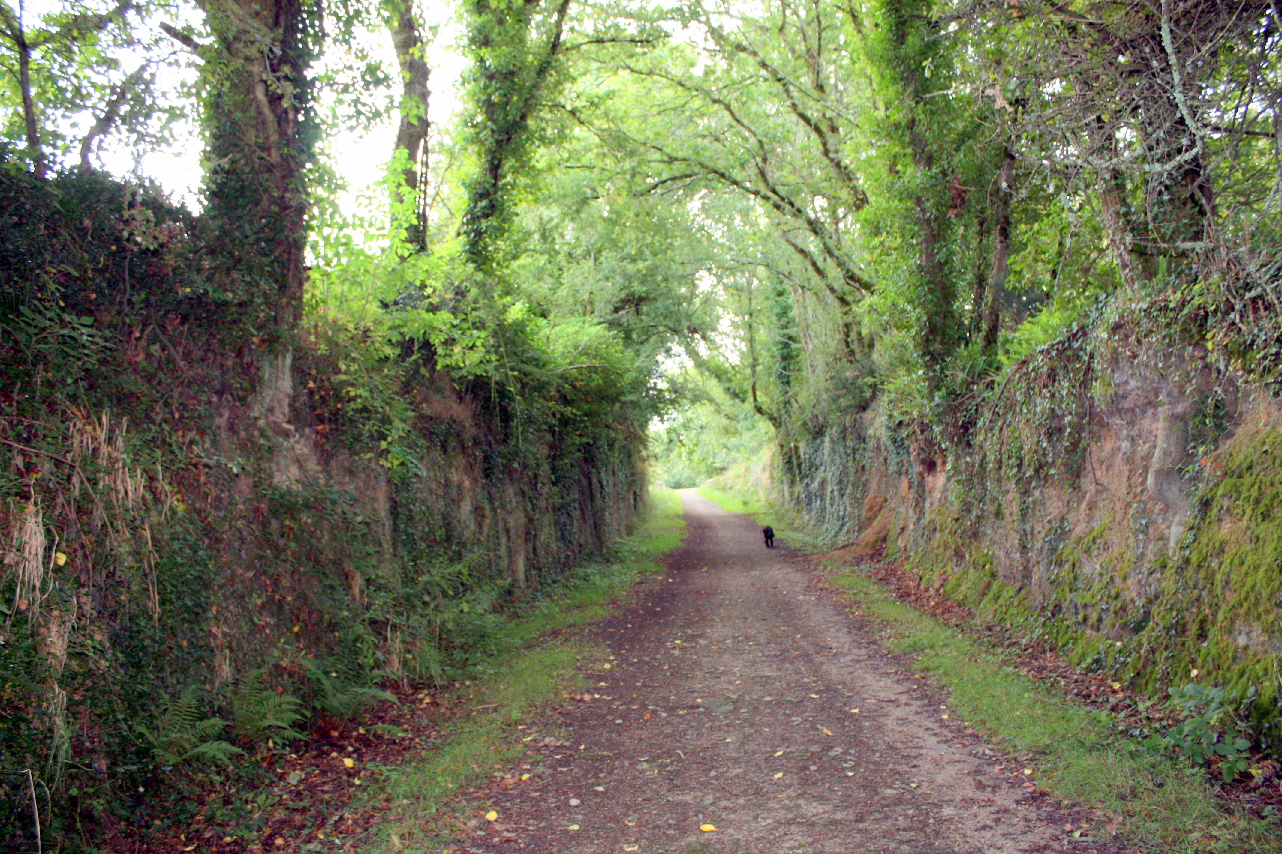 chemin romain