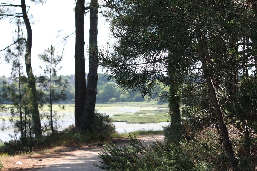 le chemin de Conleau le chemin de conleau