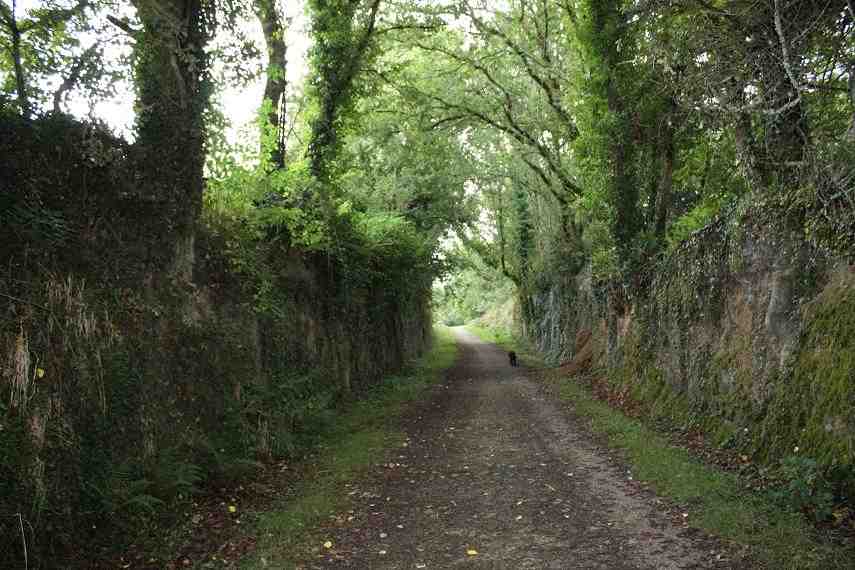 Chemin Romain à Bernus